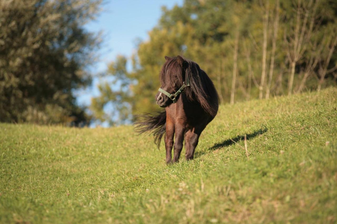 Ferienhof Muehlthal Edling Buitenkant foto