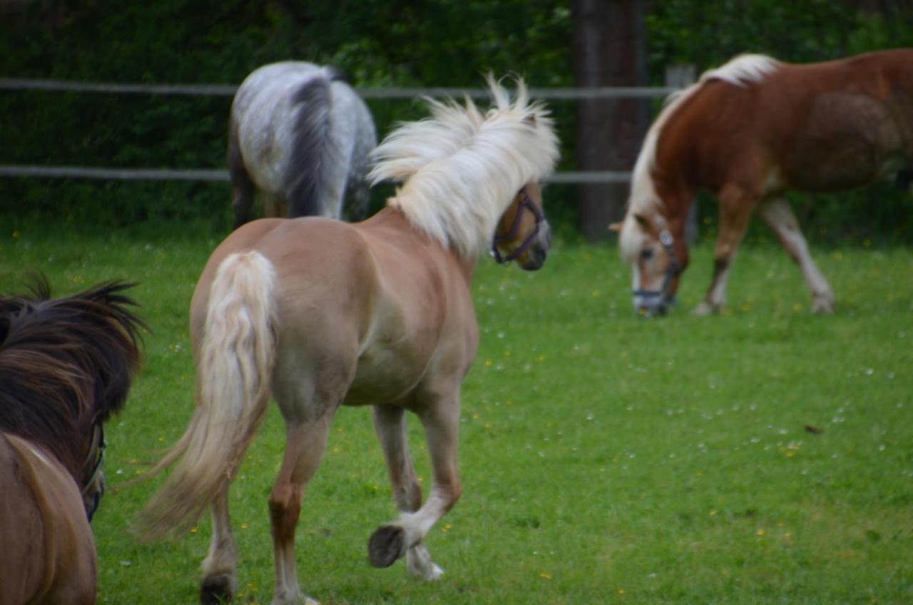Ferienhof Muehlthal Edling Buitenkant foto